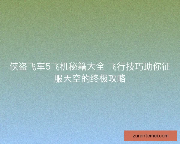 侠盗飞车5飞机秘籍大全 飞行技巧助你征服天空的终极攻略